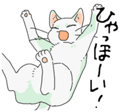 Various cats<Cat sticker> sticker #15050790