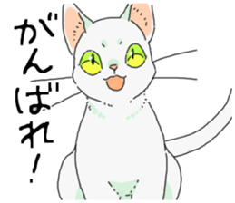 Various cats<Cat sticker> sticker #15050792