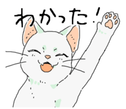 Various cats<Cat sticker> sticker #15050793