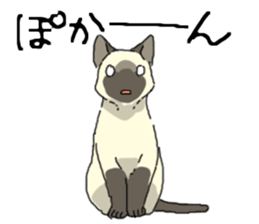 Various cats<Cat sticker> sticker #15050795