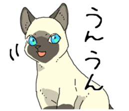 Various cats<Cat sticker> sticker #15050796