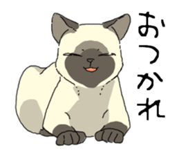 Various cats<Cat sticker> sticker #15050797