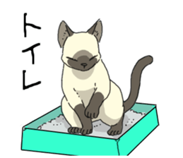 Various cats<Cat sticker> sticker #15050798