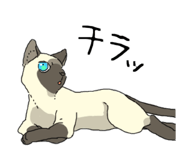Various cats<Cat sticker> sticker #15050799