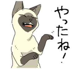 Various cats<Cat sticker> sticker #15050800