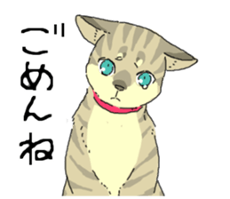 Various cats<Cat sticker> sticker #15050808