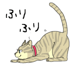 Various cats<Cat sticker> sticker #15050810