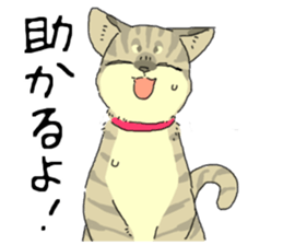 Various cats<Cat sticker> sticker #15050811