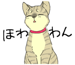 Various cats<Cat sticker> sticker #15050814