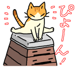 Various cats<Cat sticker> sticker #15050815