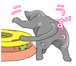 Various cats<Cat sticker> sticker #15050821