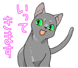 Various cats<Cat sticker> sticker #15050822