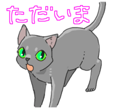Various cats<Cat sticker> sticker #15050823