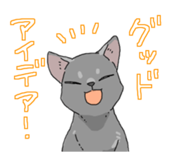 Various cats<Cat sticker> sticker #15050824