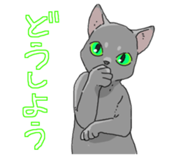 Various cats<Cat sticker> sticker #15050825