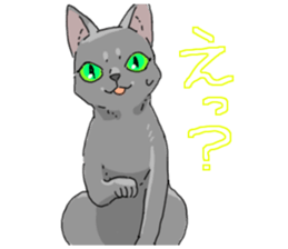 Various cats<Cat sticker> sticker #15050826