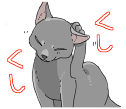 Various cats<Cat sticker> sticker #15050827