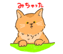 Somali<Cat sticker> sticker #15050837