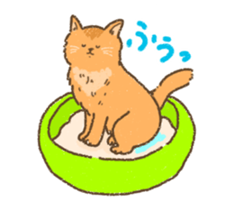 Somali<Cat sticker> sticker #15050842