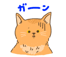Somali<Cat sticker> sticker #15050853