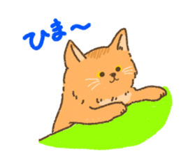Somali<Cat sticker> sticker #15050854