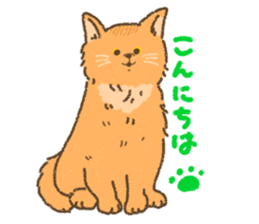 Somali<Cat sticker> sticker #15050856