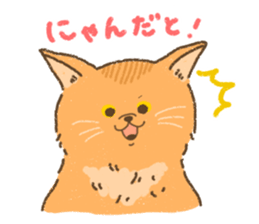 Somali<Cat sticker> sticker #15050864