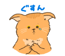 Somali<Cat sticker> sticker #15050865