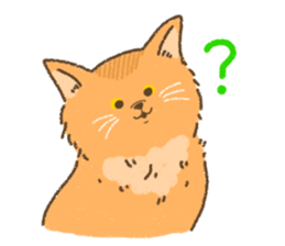 Somali<Cat sticker> sticker #15050870