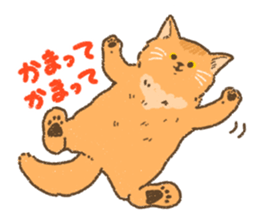 Somali<Cat sticker> sticker #15050871