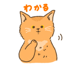 Somali<Cat sticker> sticker #15050872
