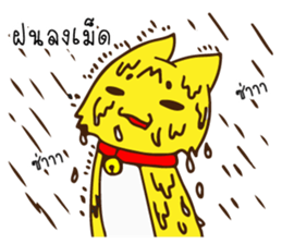 Tommy Mecute Daily 1 sticker #15050974