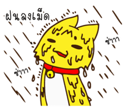 Tommy Mecute Daily 1 sticker #15050974