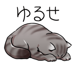 Exotic short hair<Cat sticker> sticker #15051289