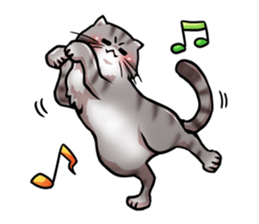 Exotic short hair<Cat sticker> sticker #15051306