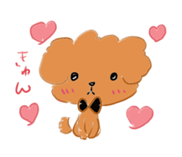 Mocha Mocha of the toy poodle sticker #15051508