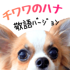 my dog hana honorific