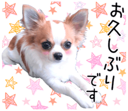 my dog hana honorific sticker #15052636