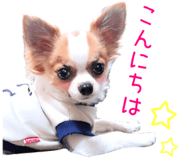 my dog hana honorific sticker #15052638