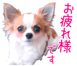 my dog hana honorific sticker #15052640