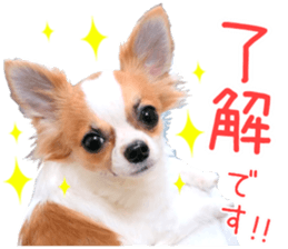 my dog hana honorific sticker #15052641