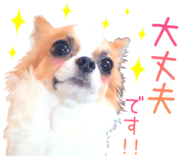 my dog hana honorific sticker #15052642