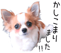 my dog hana honorific sticker #15052645