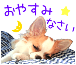 my dog hana honorific sticker #15052651