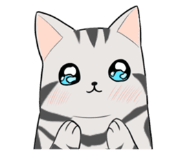 American Shorthair cat&Japanese Boy sticker #15052681