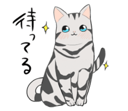 American Shorthair cat&Japanese Boy sticker #15052682