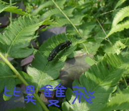 Jia Yuan sticker #15054044