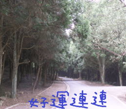 Jia Yuan sticker #15054047