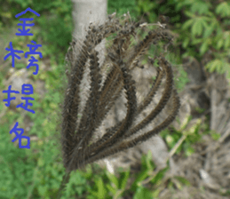 Jia Yuan sticker #15054051