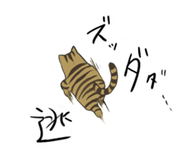 Brown tabby cat&Japanese Boy sticker #15054509